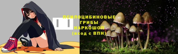 соль ск Ельня
