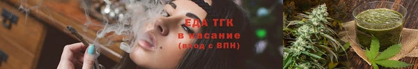 соль ск Ельня