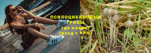 ешки Дмитриев