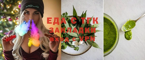 соль ск Ельня