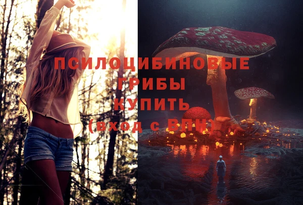 не бодяженный Елабуга