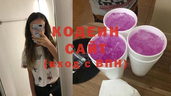 хмурый Дмитров