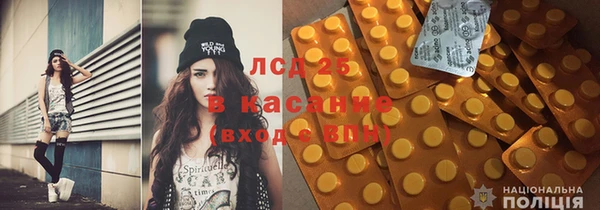 соль ск Ельня