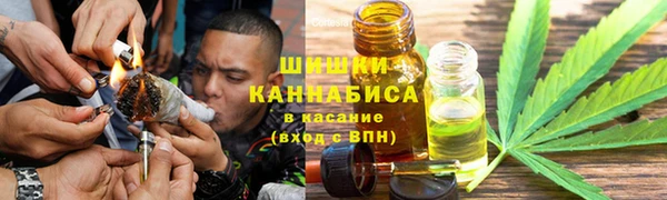 хмурый Дмитров