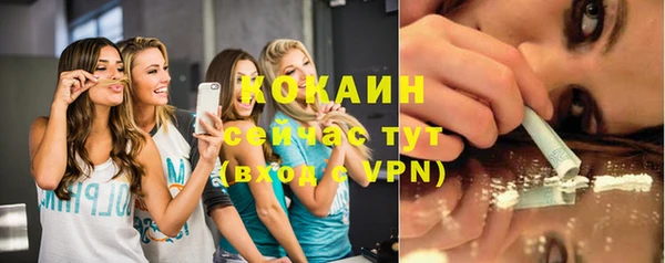 соль ск Ельня